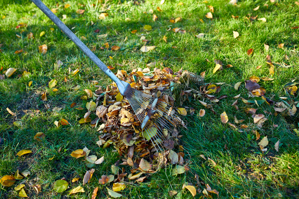 Why Leaf Cleanup is Important This Winter - Bartons Cutting Edge