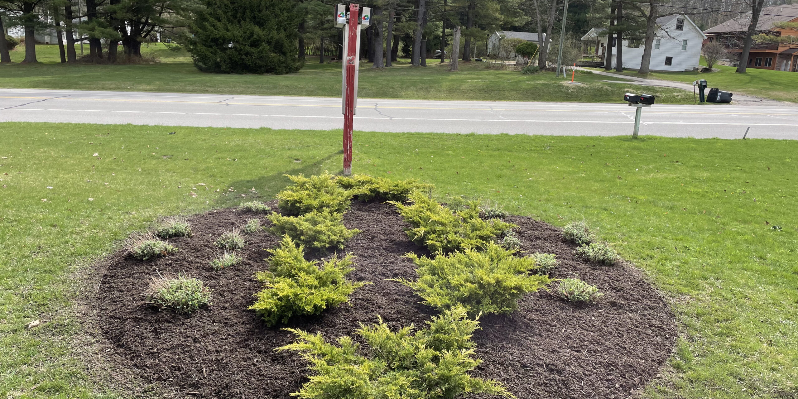 Discover Why Planting Native Species Helps Improve Michigan Lawns